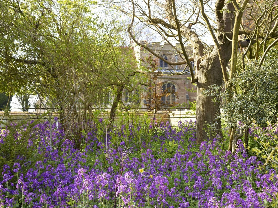 Haconby Church in springtime as seen from the drive