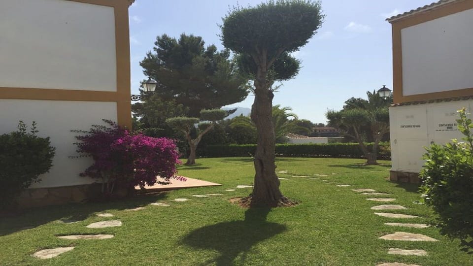 Communal gardens