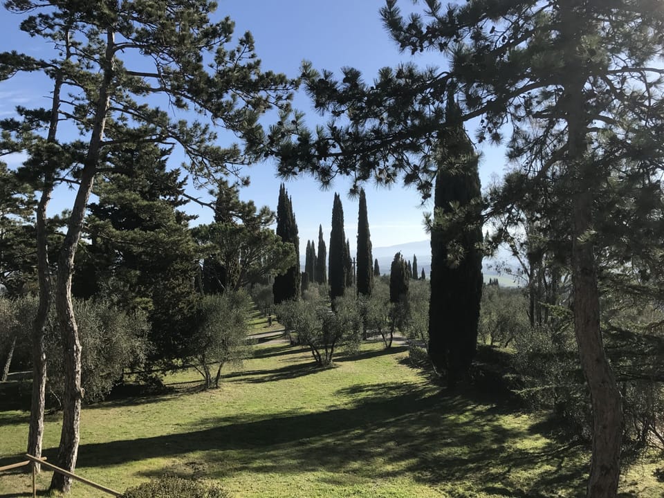 View from the house