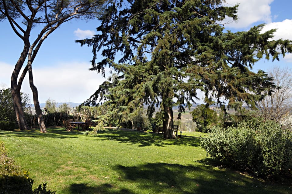 Part of the garden that guests can use. 