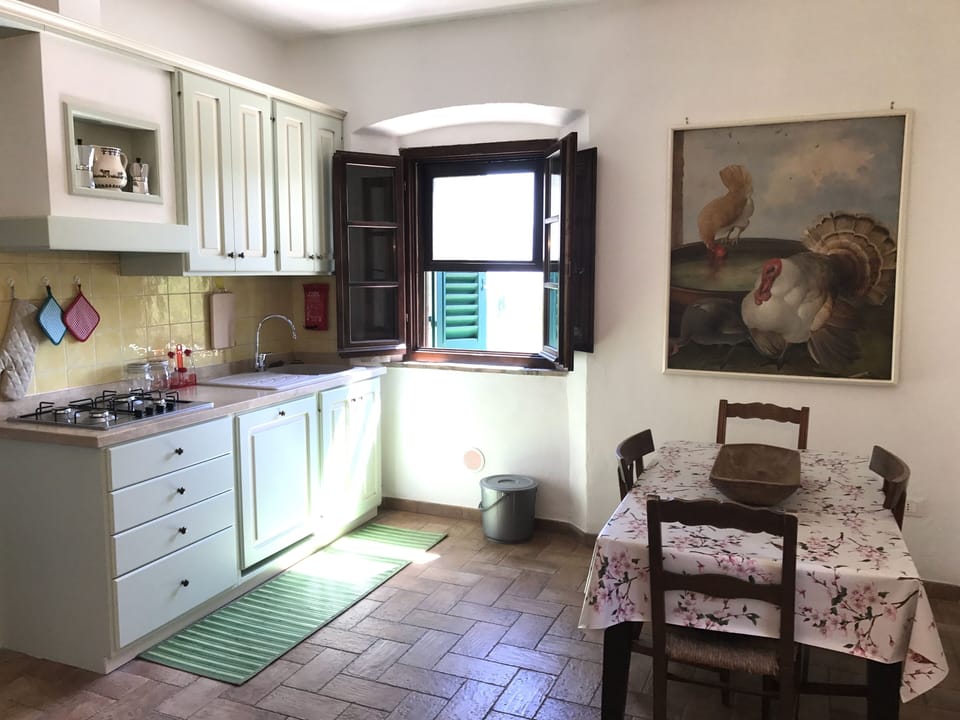 Kitchen: new, large and fully equipped