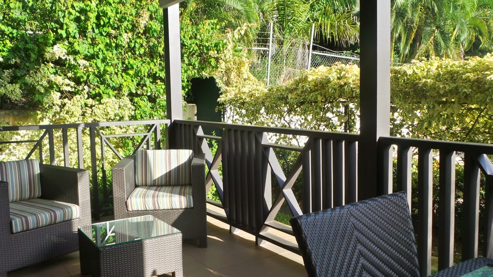 Relax on the terrace and watch the monkeys playing on the opposite grassy area