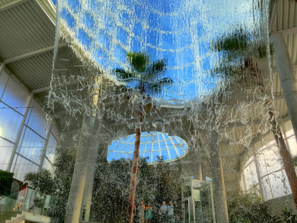 Amazing Orchidarium in Estepona Town - Well worth a visit during your stay
