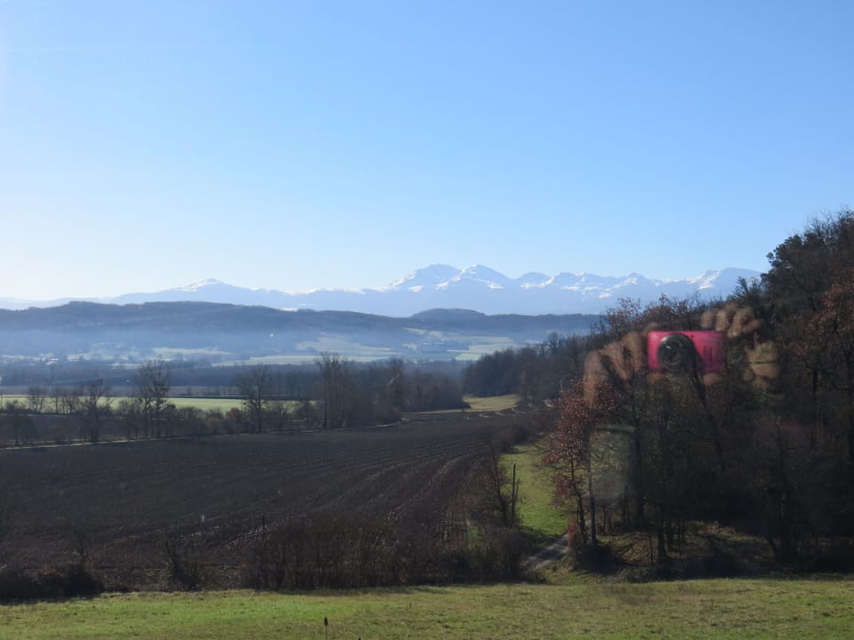 Winter view from kitchen