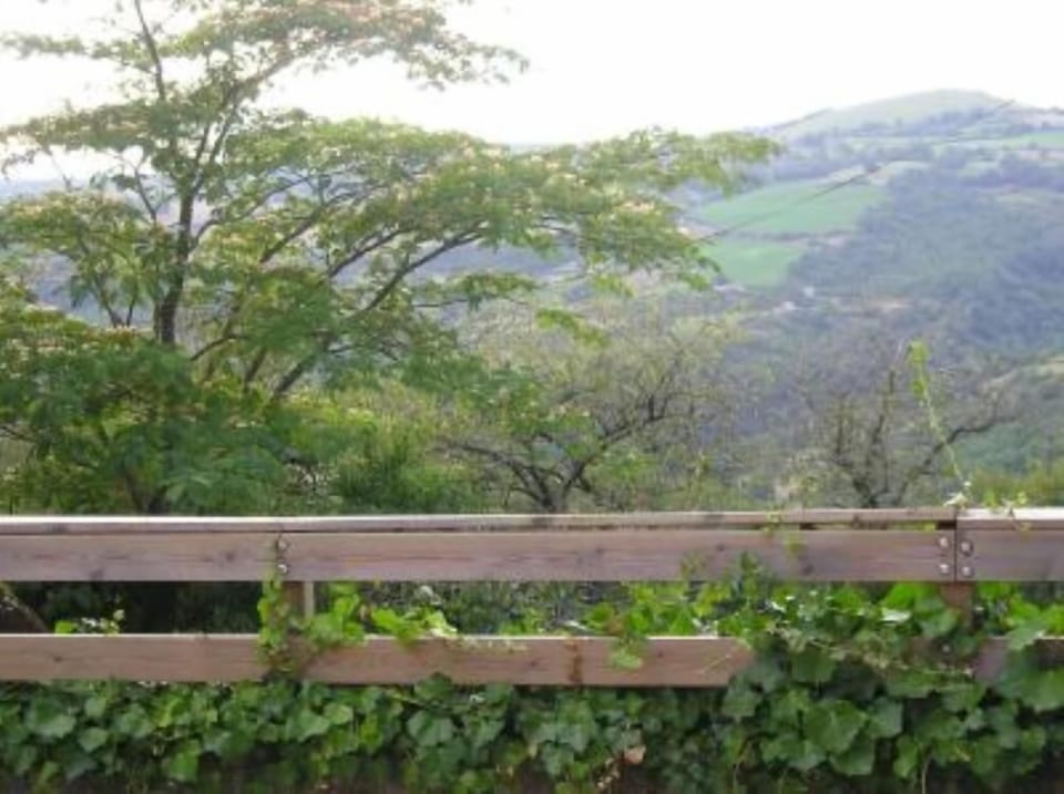 Terrace / Balcony
