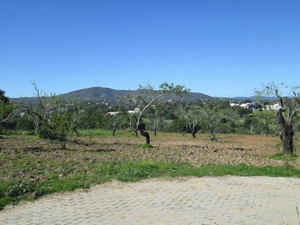 view at the back of the house and additional parking area