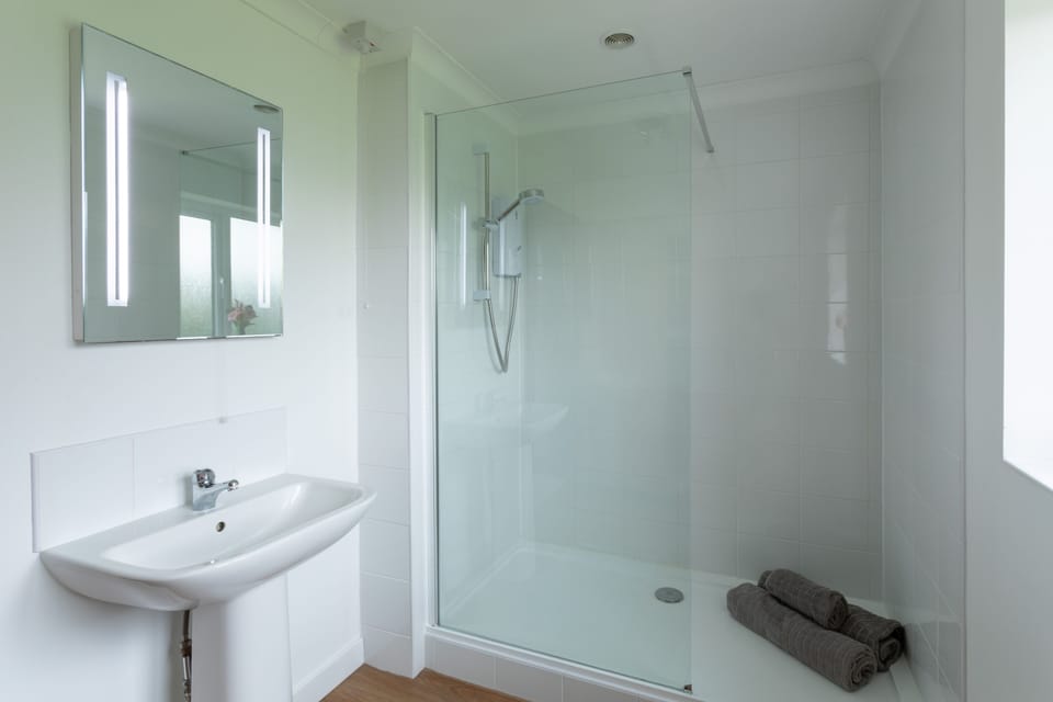 Ensuite with walk in shower