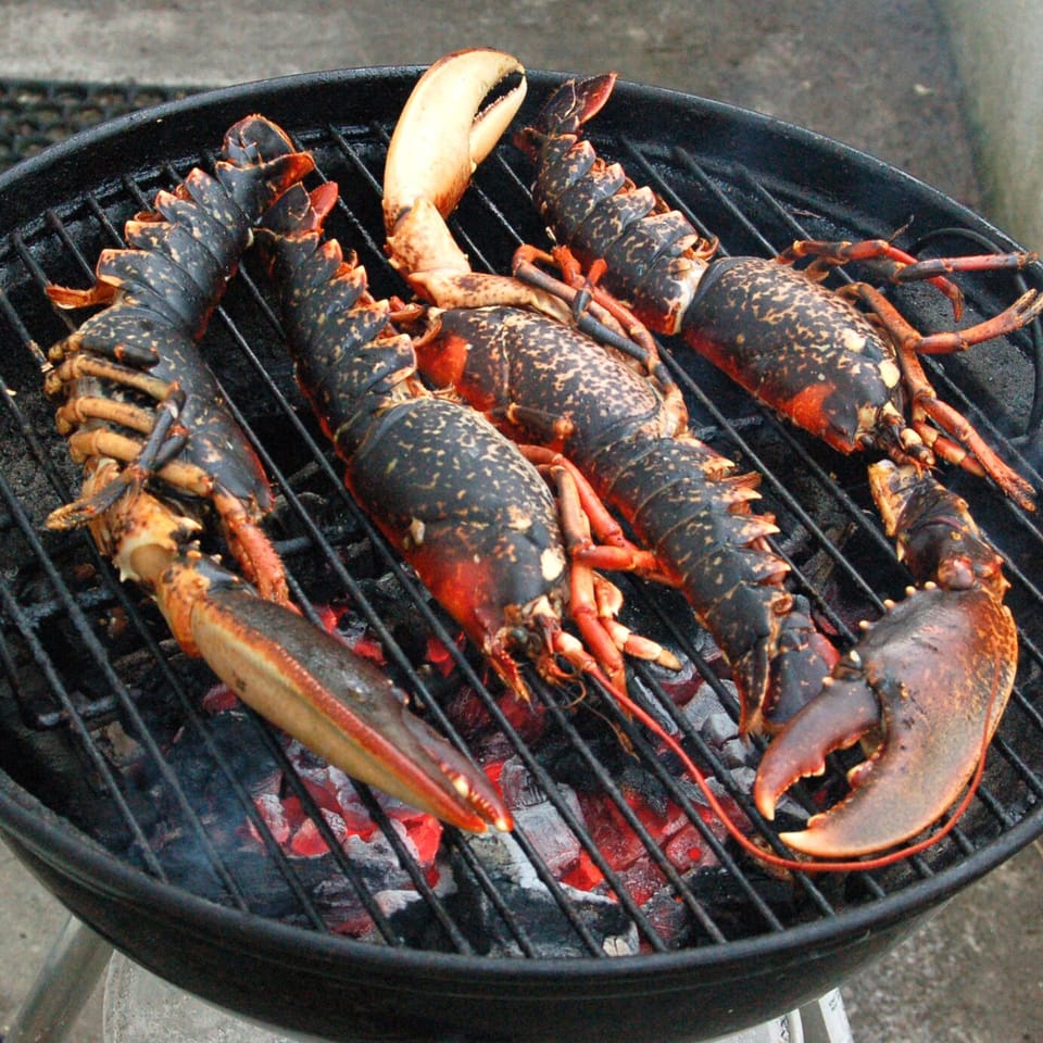 Local lobsters on the BBQ