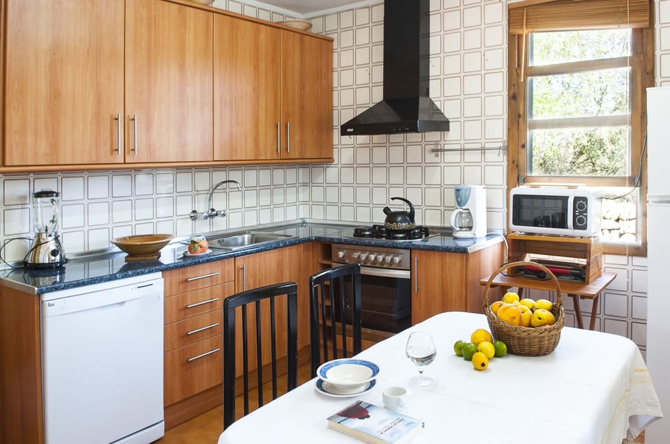 Kitchen annex house