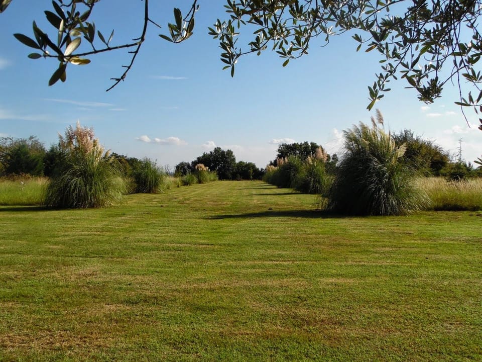 The gardens, which pool southwards towards the Dordogne river.