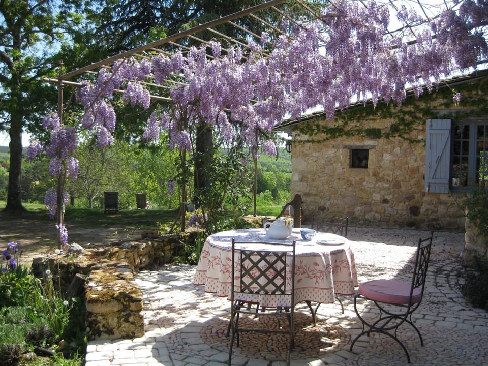 Breakfast on the terrace under the wisteria.