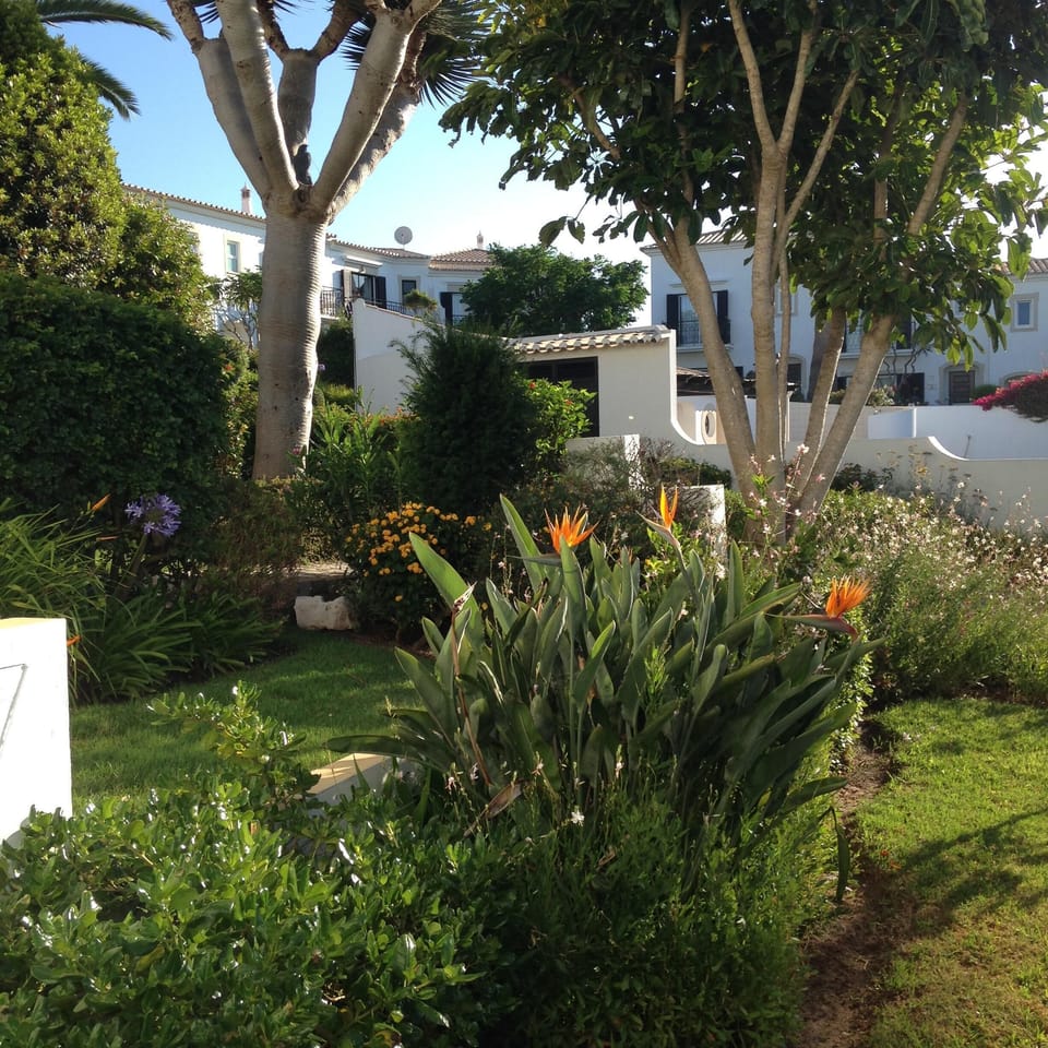 Front garden