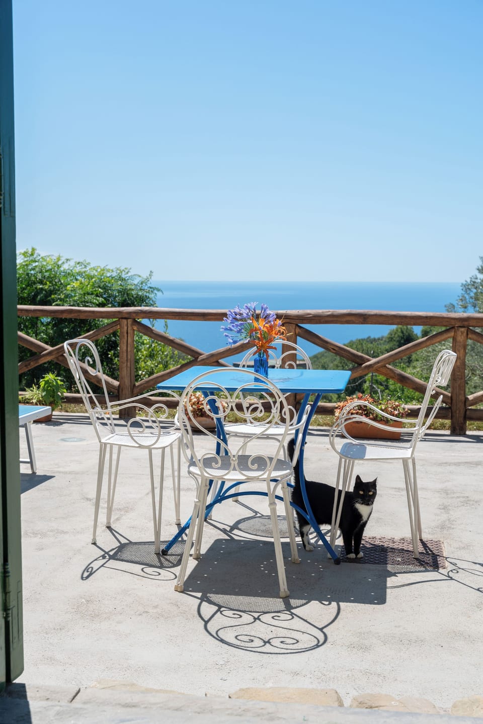 Terrace with sea view and our sweet cat