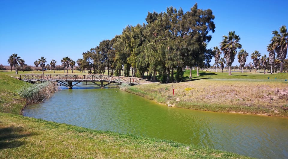 Salgados golf