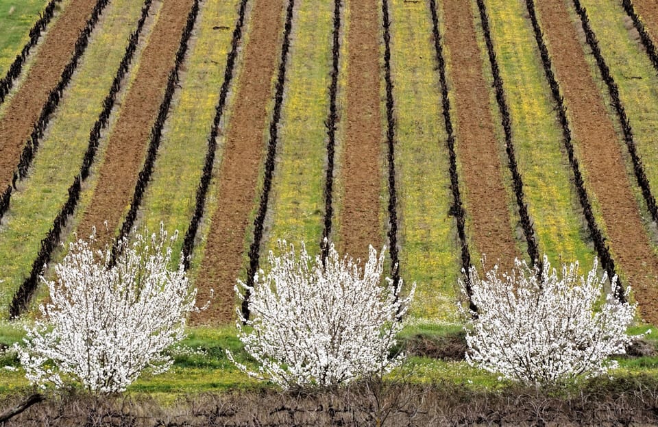 View from Lacoste 50 minutes

