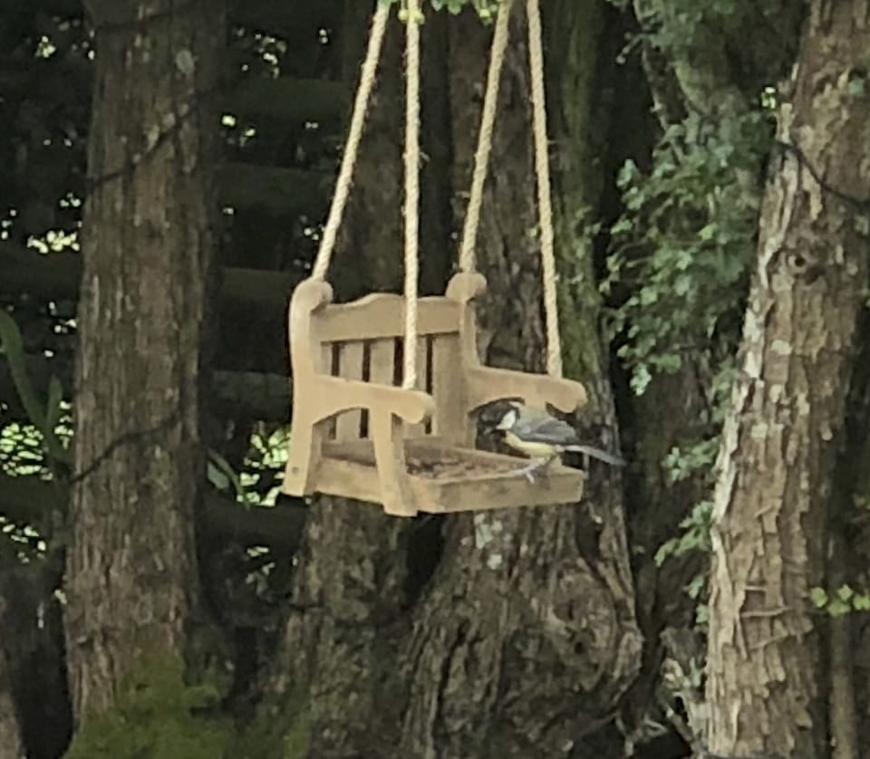 Daily visitors