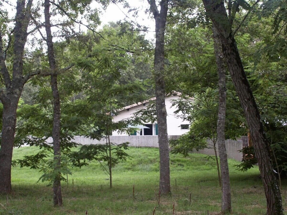 View from the lane