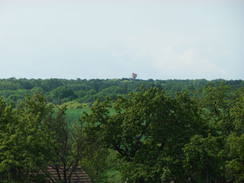 Holiday on the National Park Hainich Weberstedt Apartment in Thuringia, Germany