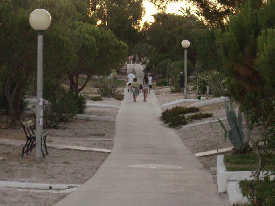 the main road of the island