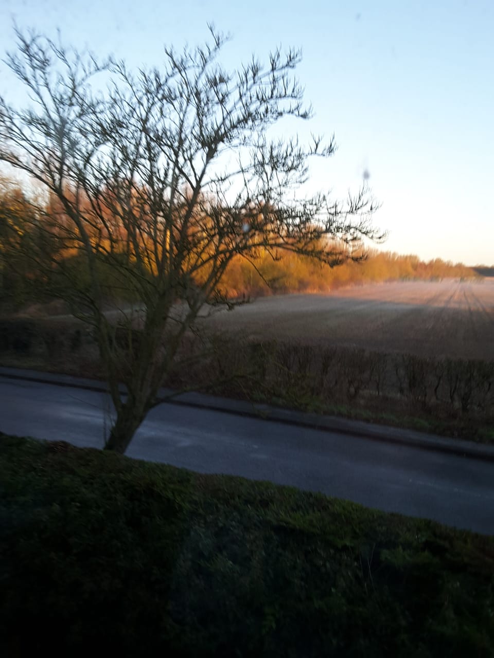 Winter view 