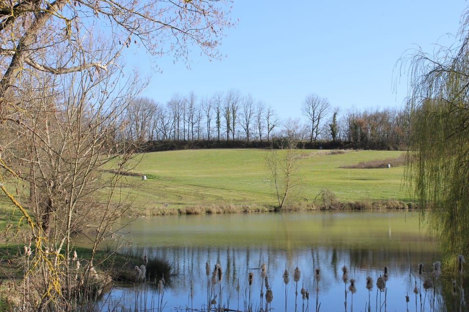 Lake