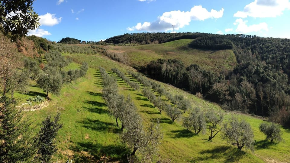 View from Agriturismo Le Capanne