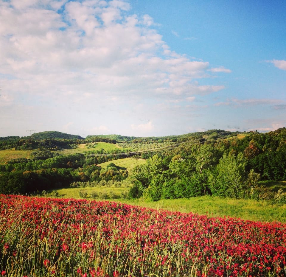 Spring at Agriturismo Le Capanne