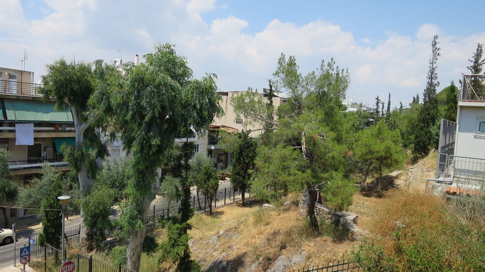 view of small park opposite apartment