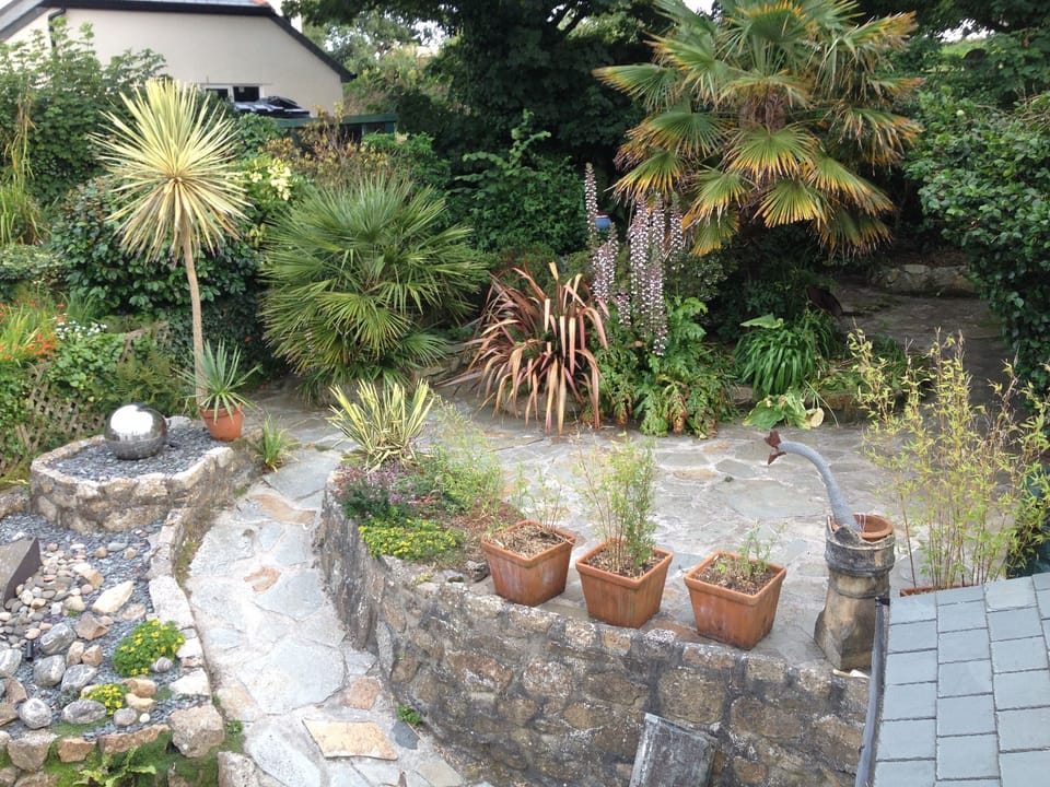 Rear garden