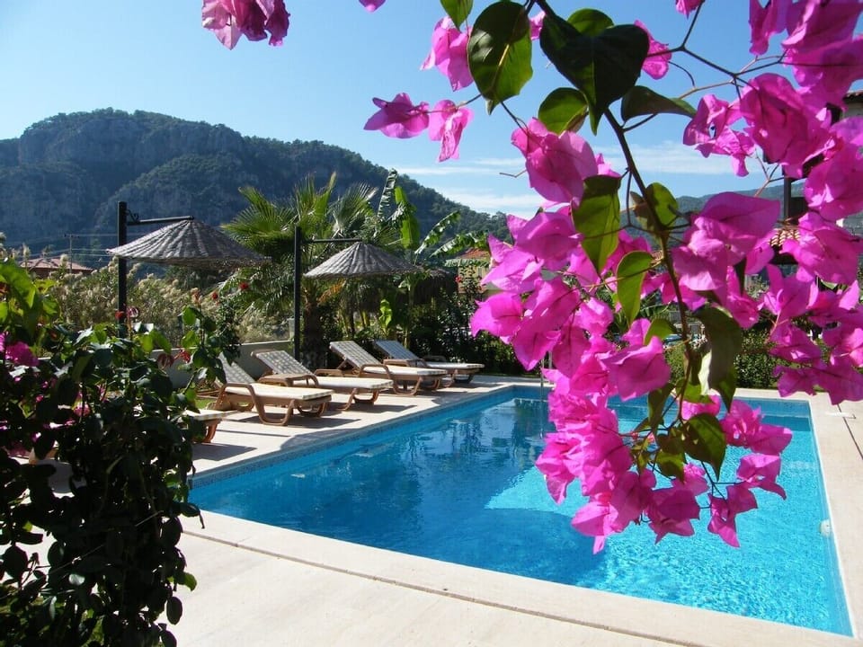 Towards the mountains