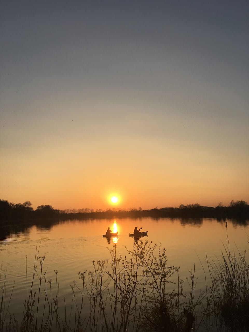 kayaking on Flagham Fen looking for the beavers
