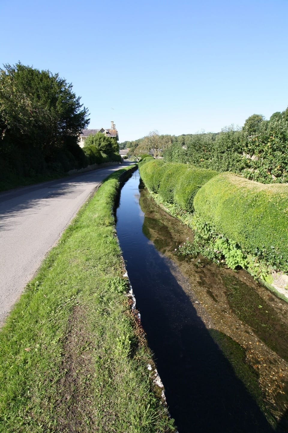Photo of the Village
