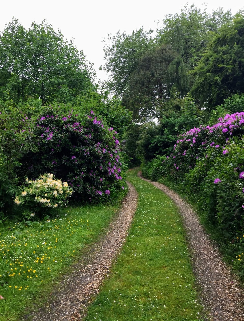 Front drive in spring.