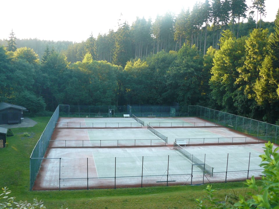 Sport court