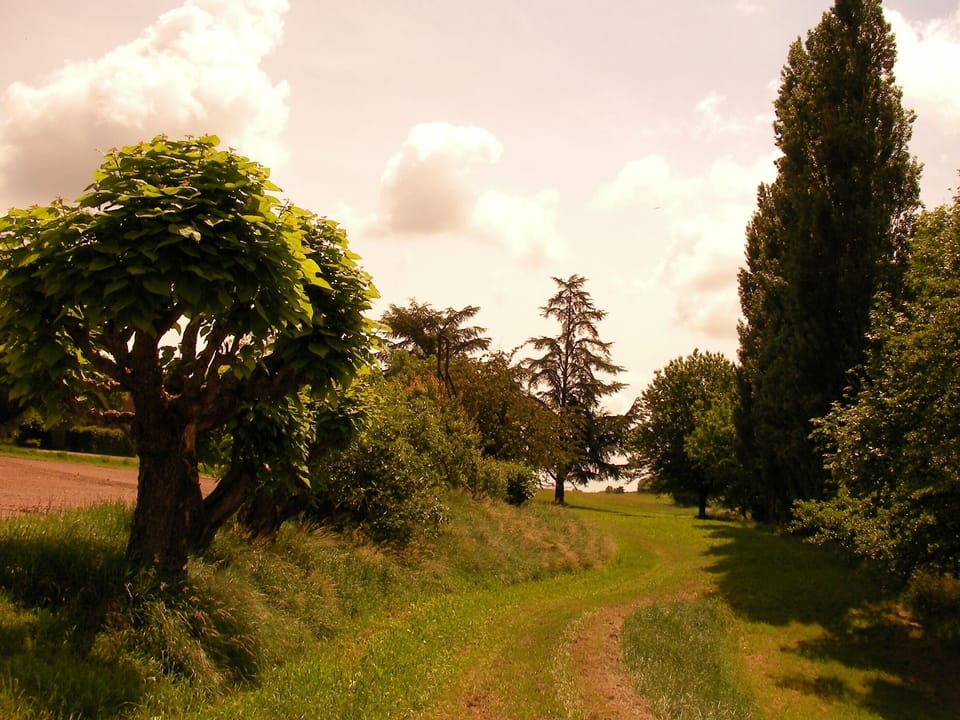 pathway near Tarn River