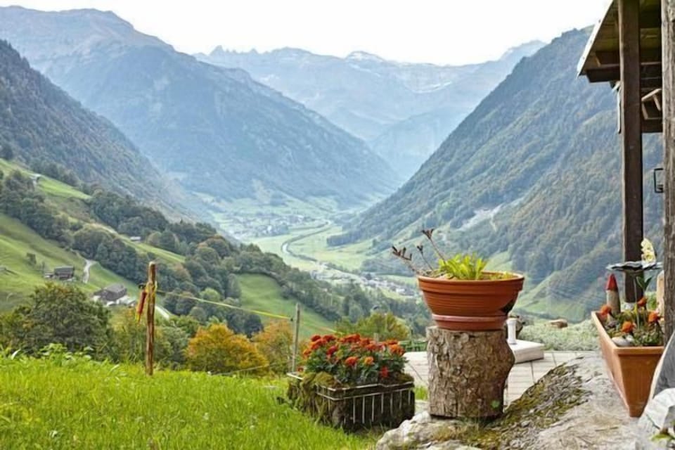 Picture 11