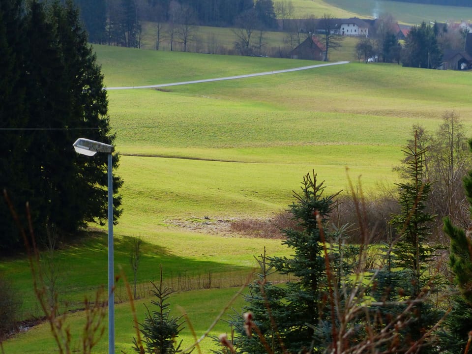 View from balcony