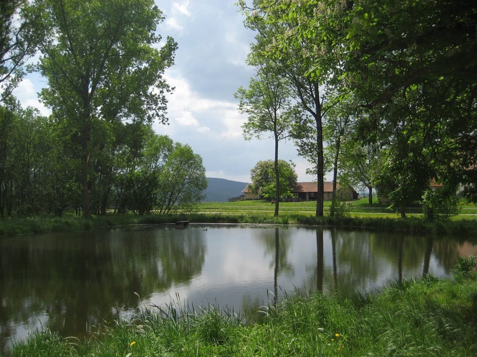 Lake