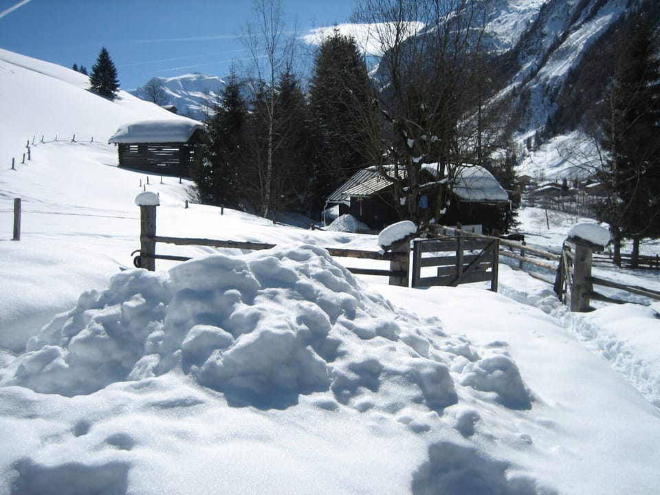 Snow and ski sports