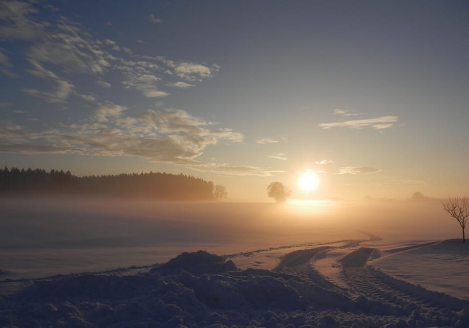 Bucherhof idyllic single location near the forest with its own lake, pure nature. Farm Stay in Bavaria