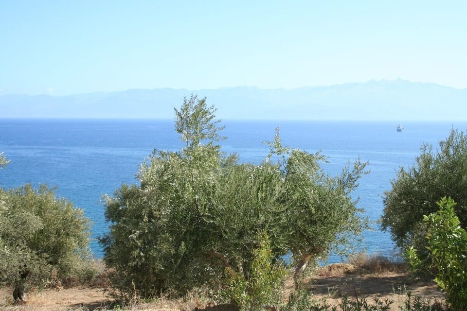 View from the patio
