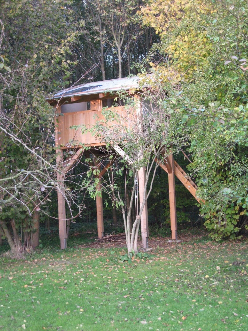 Tree house during autumn