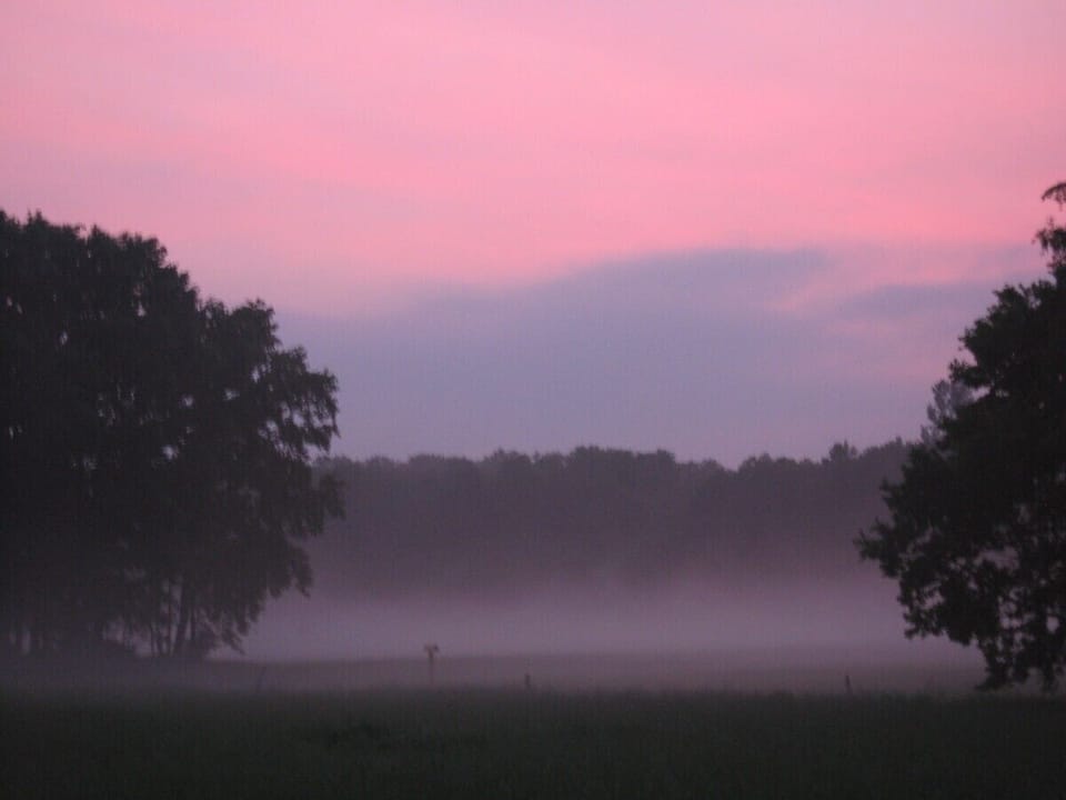 'Quiet evenings everywhere....'