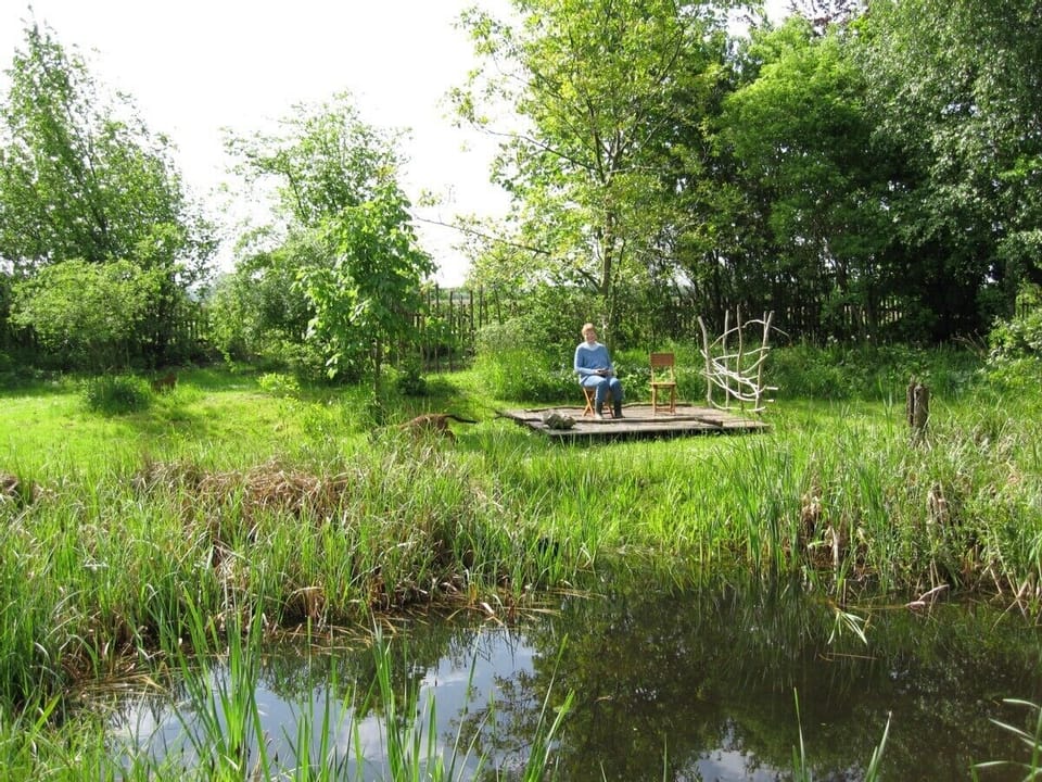 Seats at the pond