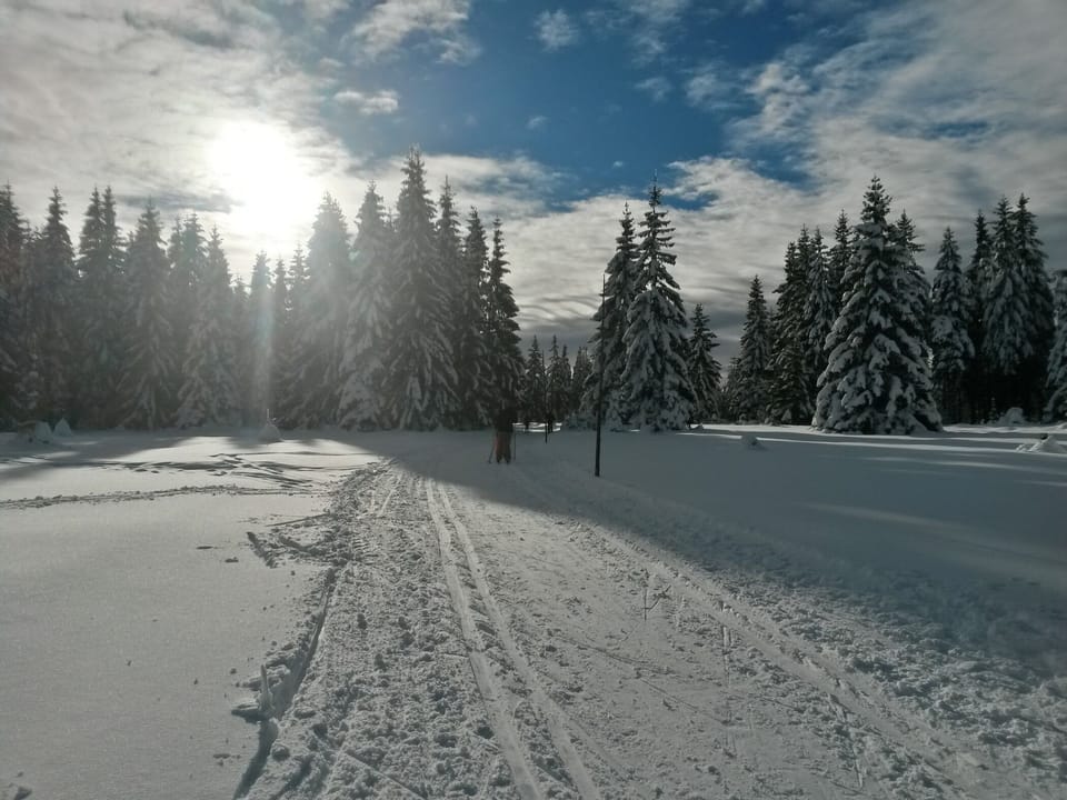 Snow and ski sports