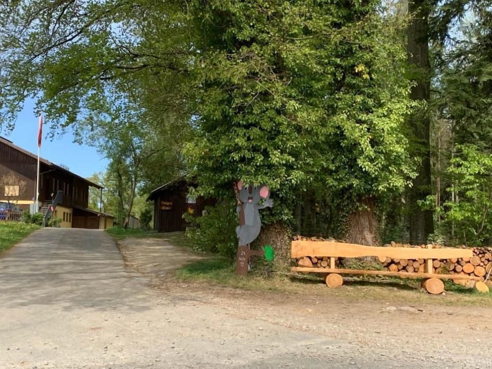 Picture 18