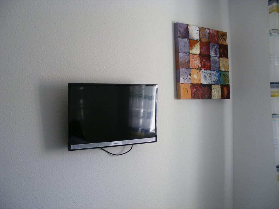 Television