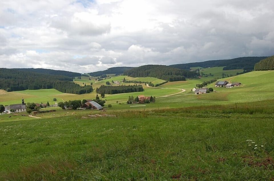 Landscape in the near of the house.