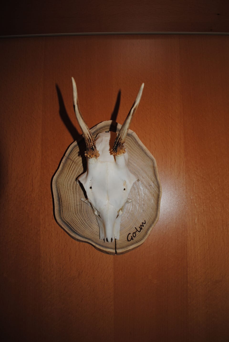 Interior detail