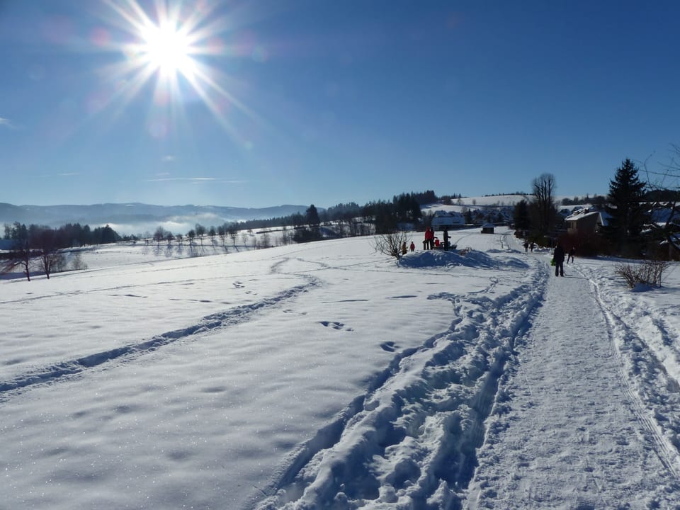Snow and ski sports